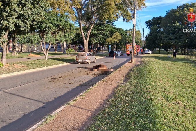 Animal morreu na via - (crédito: CBMDF/Divulgação)