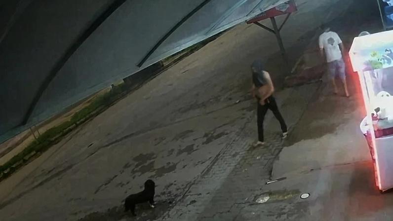 Crime ocorreu em 28 de fevereiro na Fercal - (crédito: Divulgação/PCDF)