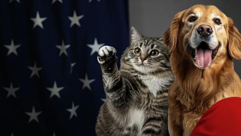 O objetivo do evento é ajudar pets que precisam de um lar, com cuidadores dispostos a abrir um espaço na vida para esses companheiros fiéis - (crédito: Divulgação)