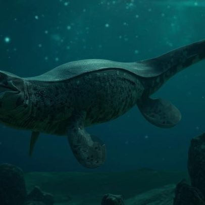 Cientistas identificam novo superpredador marinho de 80 milhões de anos