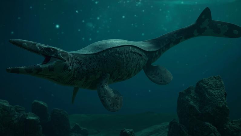 Reconstrução artística do Tylosaurus rex, réptil marinho gigante que viveu há cerca de 80 milhões de anos e foi apelidado por cientistas de “T. rex dos mares”.