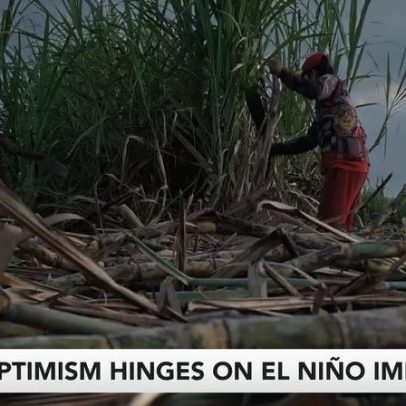O otimismo com o açúcar depende do impacto do El Niño