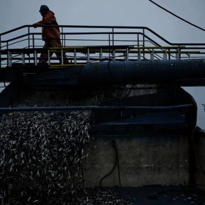 El Niño leva Peru a estender suspensão da pesca de anchovas