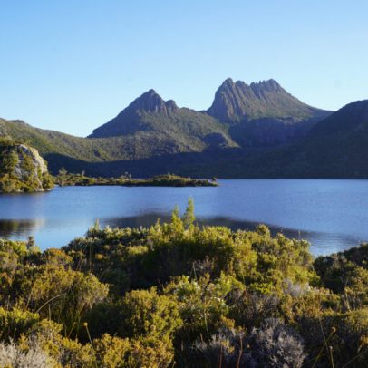 Florestas tasmanianas, refúgio climático, aquecem e precisam de ajuda