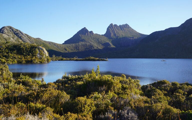 Florestas tasmanianas, refúgio climático, aquecem e precisam de ajuda