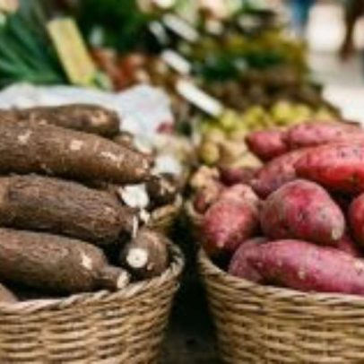 Macaxeira ou batata-doce: qual raiz nordestina é mais nutritiva?