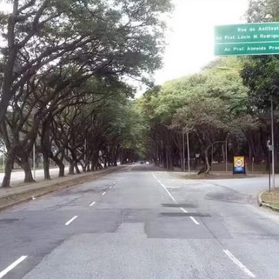 Sistema a laser aumenta eficiência de poda de árvores e reduz risco de quedas