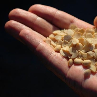 Estratégia chinesa de soberania alimentar e seus reflexos no Brasil