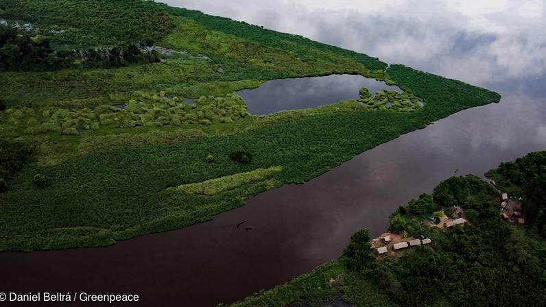 Agricultura impulsiona perda de pântanos tropicais na Indonésia, Peru e RD Congo