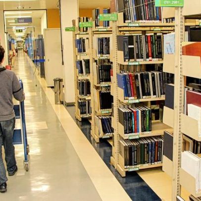 Evento internacional lança rede de pesquisa em biblioteconomia educativa