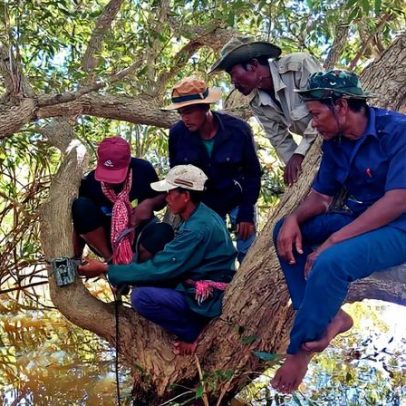 Tecnologia ajuda defesa da floresta inundada no lago do Sudeste Asiático