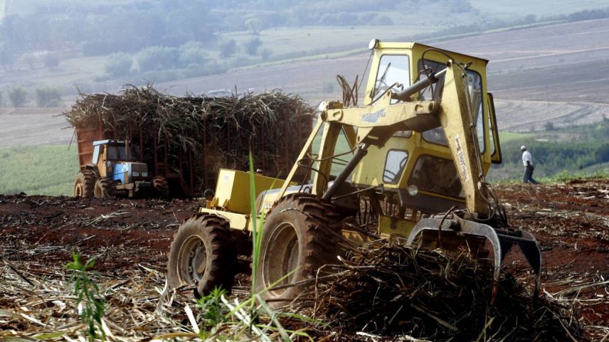 Trator coleta cana - 8/09/2005 (Foto: REUTERS/Paulo Whitaker)