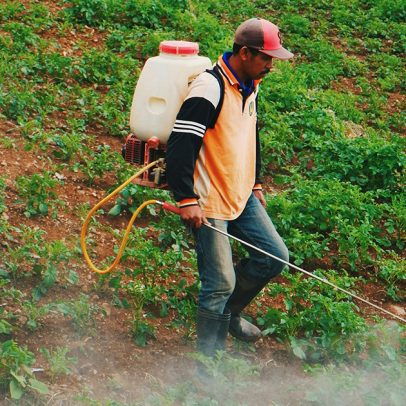 Contaminação passiva por agrotóxicos em agricultores permanece sem solução