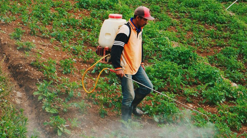 O interesse da pesquisa partiu da recorrência de casos de contaminação em assentamentos rurais – Foto: Ibadah Mimpi/Unsplash