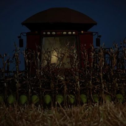 Centro-Oeste supera Sul/Sudeste renda média de 2025 com evolução do agronegócio