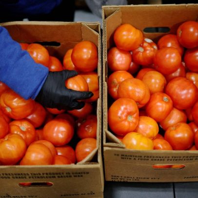 Preocupação com tempestade perfeita para alimentos persiste até 2027