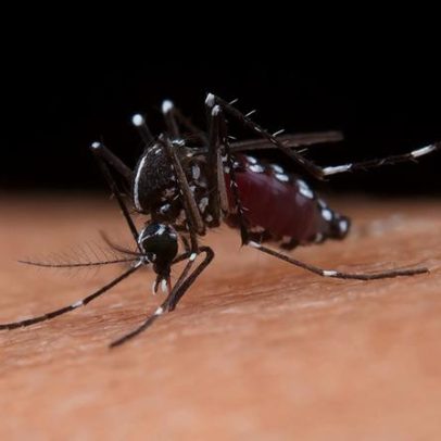 Sistemas de alerta precoce são essenciais para crises de saúde pública