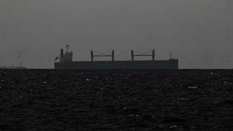 Um navio cargueiro no Golfo, próximo ao Estreito de Ormuz — Foto: Reuters