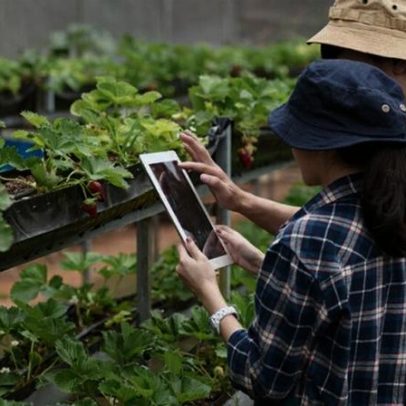 Mercado agrícola mais instável aumenta busca por estratégias de proteção