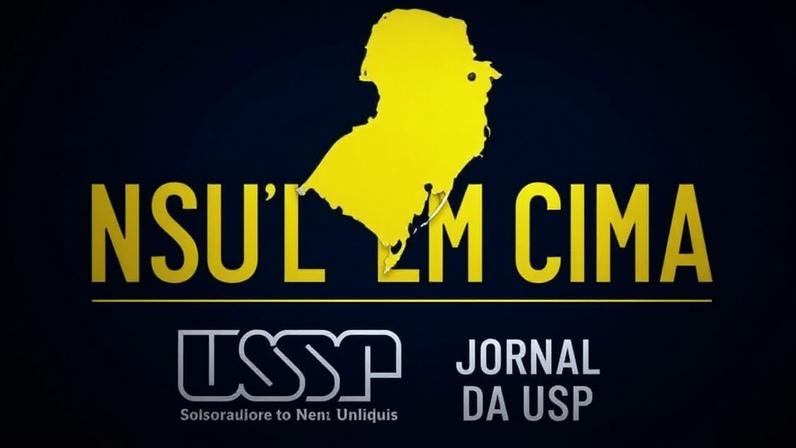 O Sul em Cima - USP