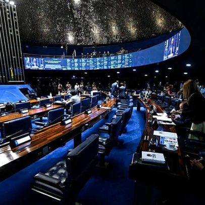 Plenário vota prevenção a desastres e criação de universidade indígena