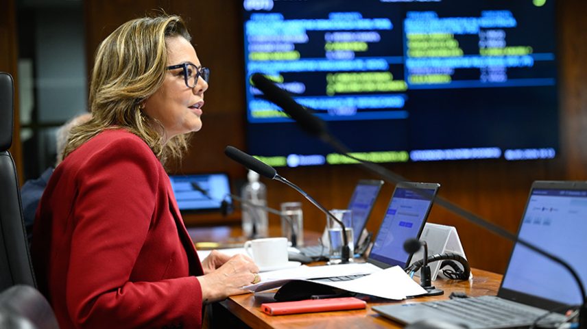 Mesa: presidente da CEsp, senadora Leila Barros (PDT-DF).