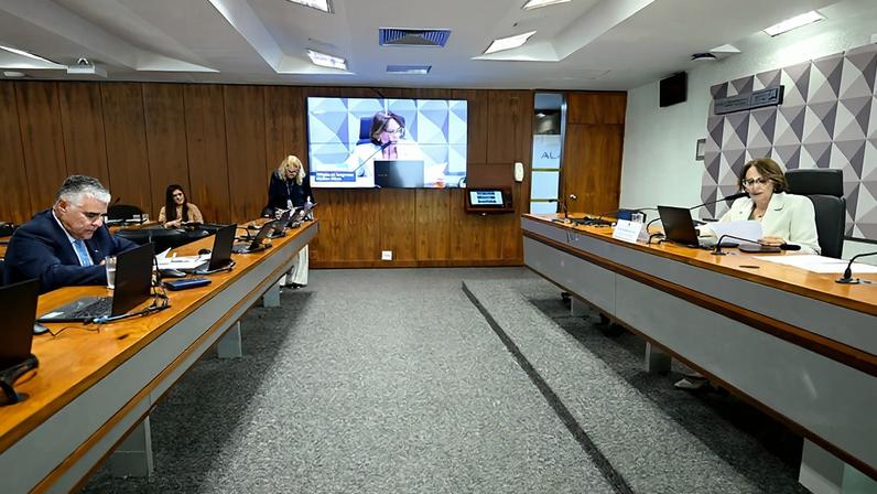 Bancada: senador Eduardo Girão (Novo-CE).