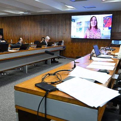 Plenário discute prioridade em exames periciais para vítimas de violência doméstica