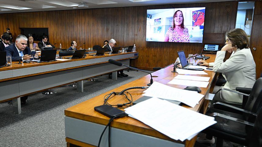 Bancada: senador Eduardo Girão (Novo-CE) - em pronunciamento; senador Hermes Klann (PL-SC).