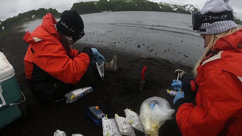 Para chegar à descoberta, as pesquisadoras coletaram amostras de solo na Ilha Deception, no Polo Sul