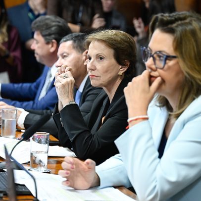 CAE aprova uso de multas para socorrer animais abandonados; segue para CMA