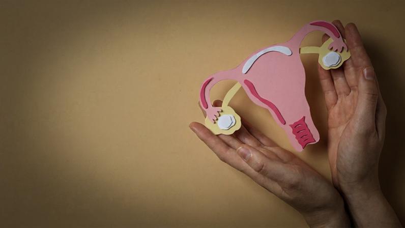 A microbiota vaginal representa o conjunto de microrganismos que habitam a vagina, impedindo que agentes patogênicos se proliferem - Foto: atlascompany/Magnific