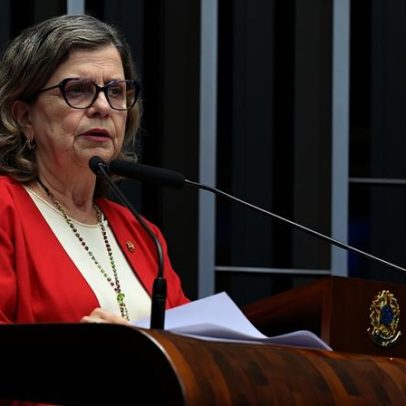 Teresa Leitão defende soberania nacional sobre minerais críticos e terras-raras