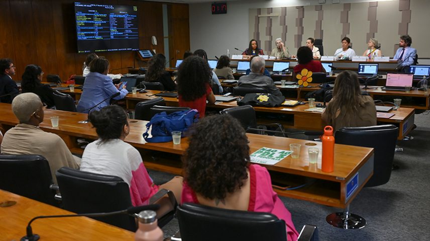 Mesa: diretora de Articulação Interfederativa da Secretaria de Gestão do Sistema Nacional de Promoção da Igualdade Racial (MIR), Isadora Bispo dos Santos; secretária nacional dos Direitos da Criança e do Adolescente (MDH), Maria do Pilar Lacerda Almeida e Silva; presidente da CMCVM, deputada Luizianne Lins (PT-CE); presidente do Conselho Nacional dos Direitos da Criança e do Adolescente (Conanda), Deila do Nascimento Martins Cavalcanti; conselheira Nacional dos Direitos da Mulher (CNDM), Alison Regina Mazza Lubascher; secretário executivo da Coalizão Brasileira pelo Fim da Violência contra Crianças e Adolescentes, Lucas José Lopes.