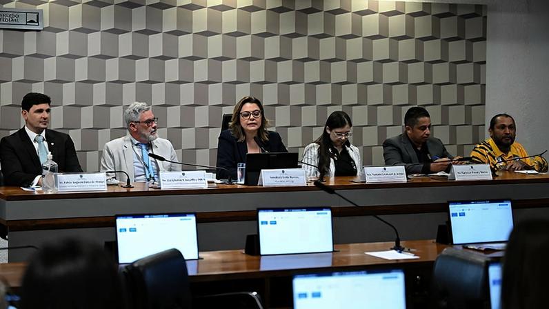 Mesa: secretário nacional de Paradesporto do Ministério do Esporte, Fábio Augusto Lima de Araújo; presidente do Comitê Brasileiro de Clubes Paralímpicos, João Batista Carvalho e Silva; presidente da CEsp, senadora Leila Barros (PDT-DF); gestora técnica e social na Associação de Centro de Treinamento de Educação Física Especial (CETEFE), Nathalia Cavalcanti de Araújo; diretor executivo e de projetos da Associação Petrolinense de Atletismo, Natanael Pereira Barros; presidente da Associação Esportiva e Cultural Brasília Quad Rugby, Antônio Manoel Pereira.