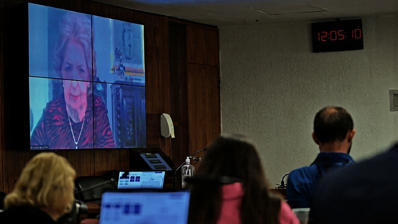 Tela exibe, senadora Ivete da Silveira (MDB-SC) via videoconferência.