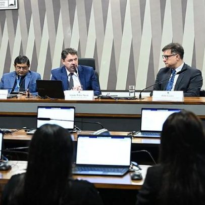 Debatedores defendem menor controle estatal em política de minerais críticos