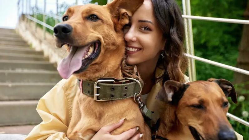 O que significa falar com animais? Psicologia oferece explicação curiosa