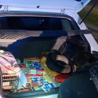 Resgatadas em Porto Alegre mais de 30 aves silvestres em situação de maus-tratos