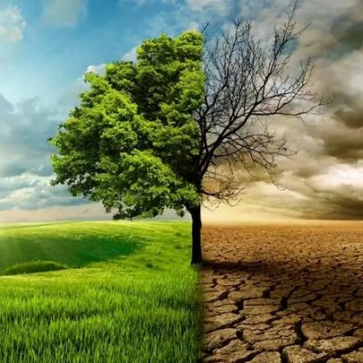 Desertificação avança globalmente, afetando água, agricultura e população