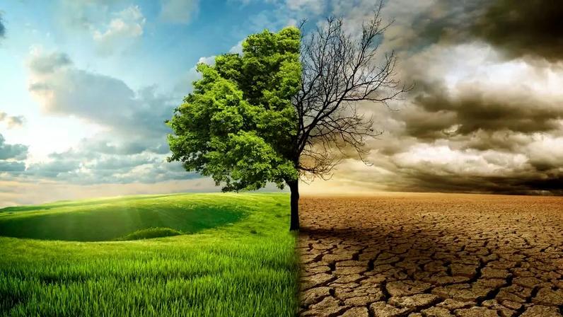 O processo, conhecido como desertificação, transforma solos antes férteis em terrenos áridos, com pouca vegetação, baixa umidade e grande vulnerabilidade à erosão – depositphotos.com / kevron2002