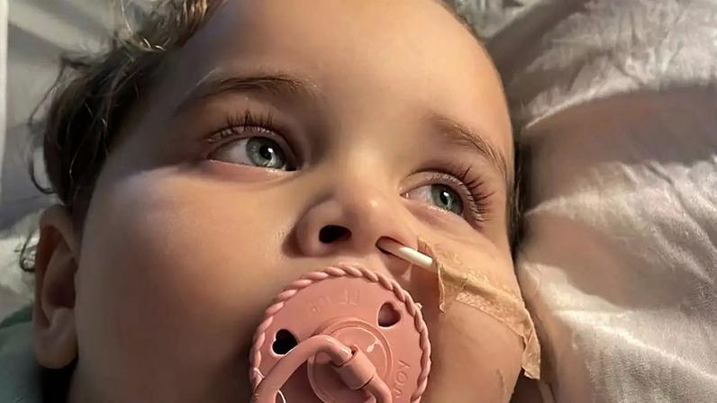 Helo: a luta de uma pequena guerreira pela recuperação