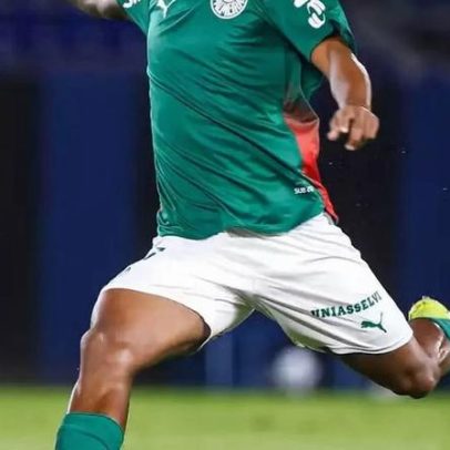 Rafael Coutinho brilha no Palmeiras e define futuro em julho