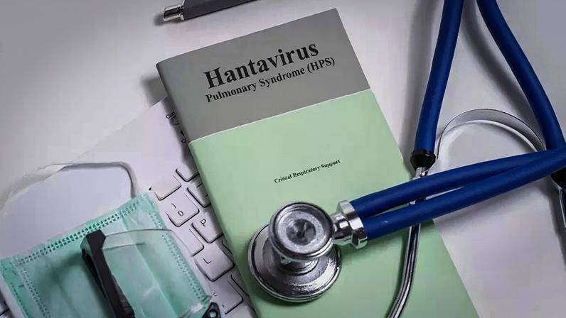 Nova variante do hantavírus aumenta preocupação da população com risco de pandemia
