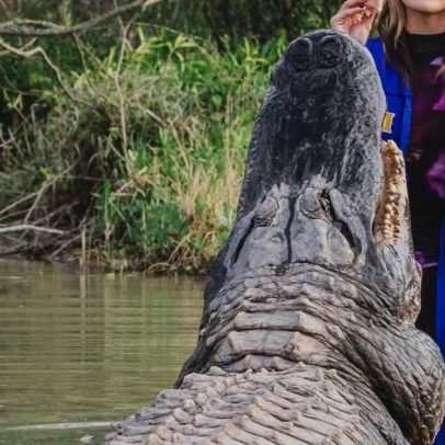Foto de formanda ao lado de jacaré de 4,3 m viraliza