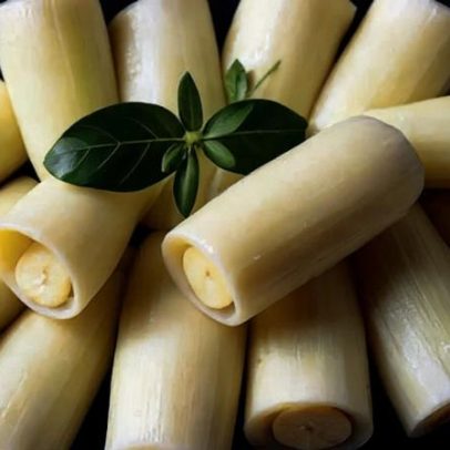 Tipos de palmito unem versatilidade e benefícios na alimentação