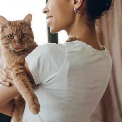 A relação entre ter gatos e solidão, segundo a psicologia