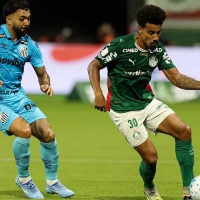 Auxiliar do Palmeiras lamenta empate com o Santos: não materializamos