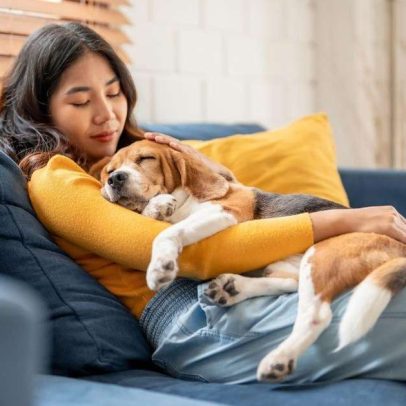 Vínculo afetivo entre tutores e pets: entenda essa relação