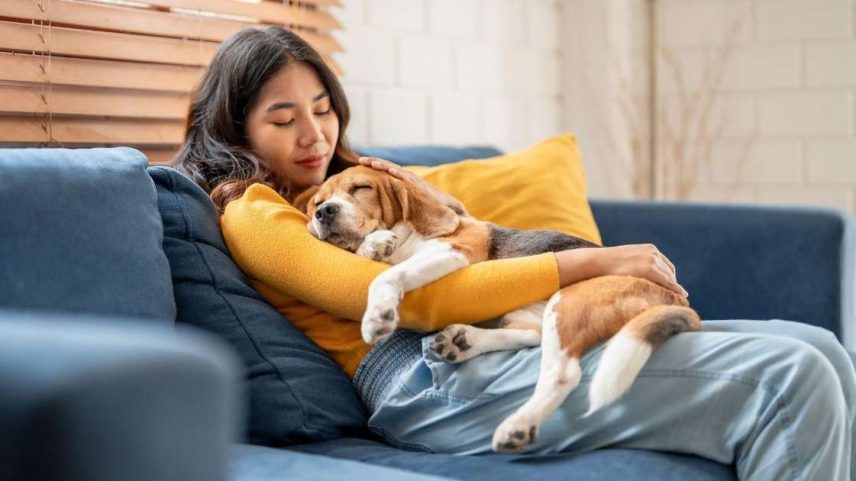 Entenda a relação materna com seu pet
